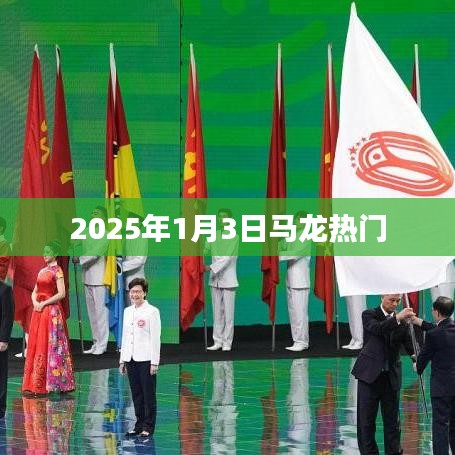 马龙热门资讯，揭秘2025年1月3日的精彩瞬间