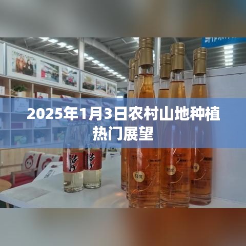 农村山地种植趋势展望，2025年展望