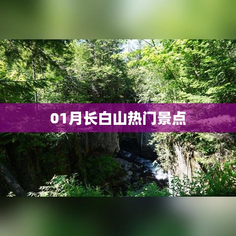 长白山一月热门景点探秘