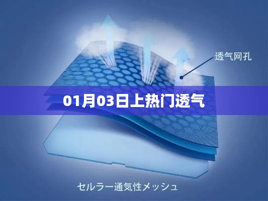 热门透气资讯揭秘，01月03日独家爆料！