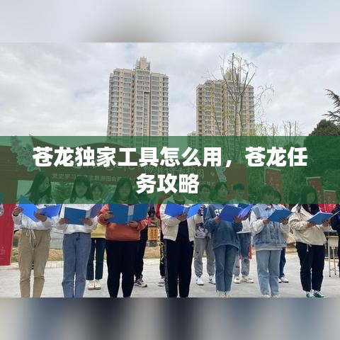 苍龙独家工具怎么用，苍龙任务攻略 