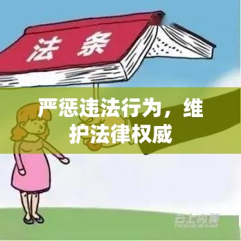 严惩违法行为，维护法律权威