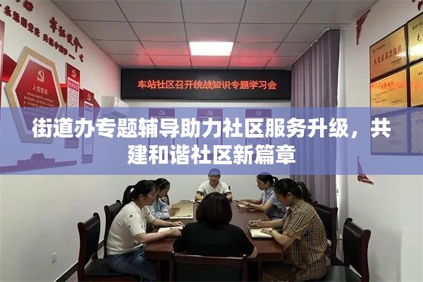 街道办专题辅导助力社区服务升级，共建和谐社区新篇章