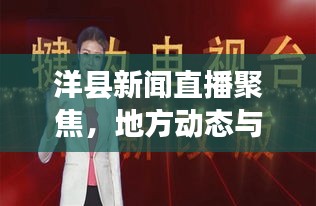 洋县新闻直播聚焦，地方动态与发展强音实时传递