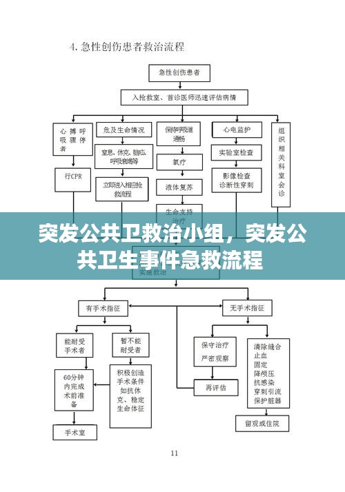 突发公共卫救治小组，突发公共卫生事件急救流程 