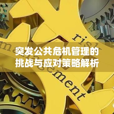 突发公共危机管理的挑战与应对策略解析