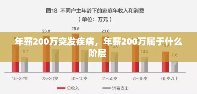 年薪200万突发疾病，年薪200万属于什么阶层 