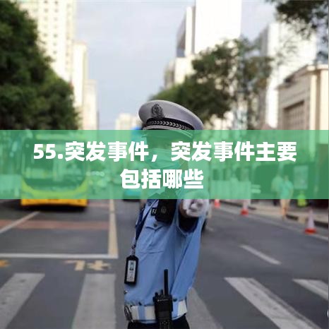 55.突发事件，突发事件主要包括哪些 