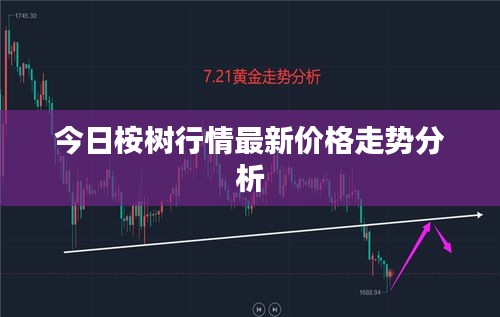 今日桉树行情最新价格走势分析