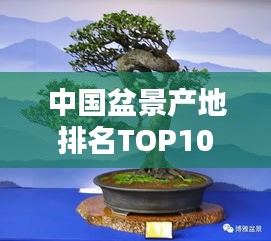 中国盆景产地排名TOP10，绝美盆景出自这些地