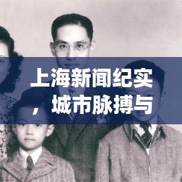 上海新闻纪实，城市脉搏与民生百态深度解读