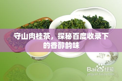 守山肉桂茶，探秘百度收录下的香醇韵味