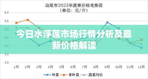 今日水浮莲市场行情分析及最新价格解读