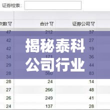 揭秘泰科公司行业地位与影响力，权威排名揭晓！