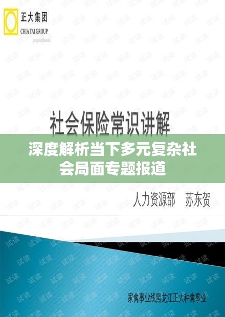 深度解析当下多元复杂社会局面专题报道