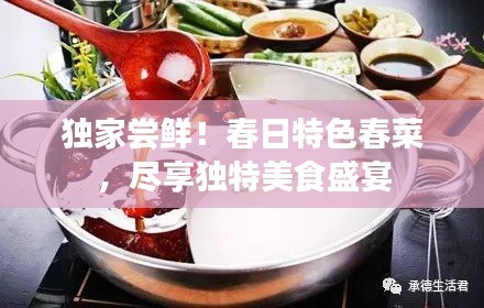 独家尝鲜！春日特色春菜，尽享独特美食盛宴