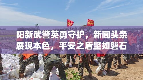 阳新武警英勇守护，新闻头条展现本色，平安之盾坚如磐石