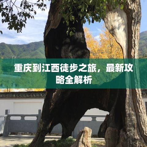 重庆到江西徒步之旅，最新攻略全解析