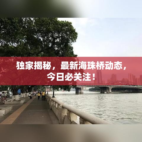 发硎新试