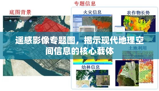 遥感影像专题图，揭示现代地理空间信息的核心载体