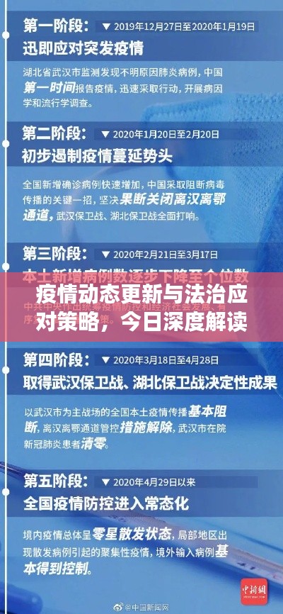 疫情动态更新与法治应对策略，今日深度解读