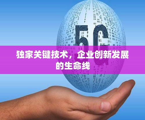 独家关键技术，企业创新发展的生命线