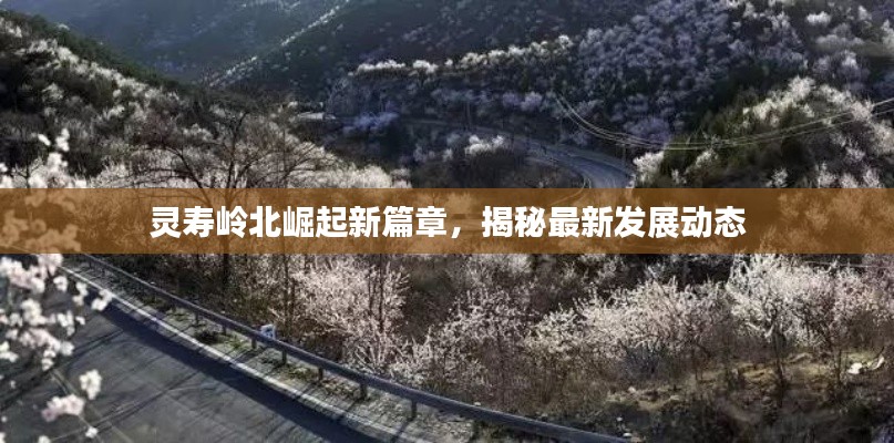 灵寿岭北崛起新篇章，揭秘最新发展动态