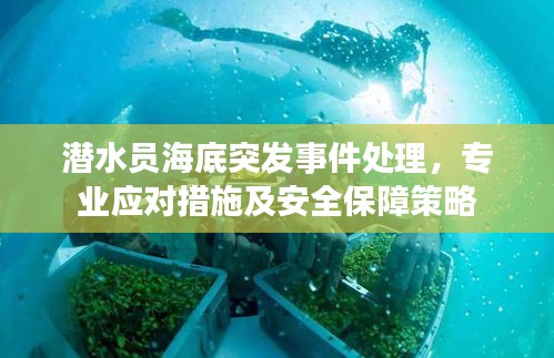 潜水员海底突发事件处理，专业应对措施及安全保障策略