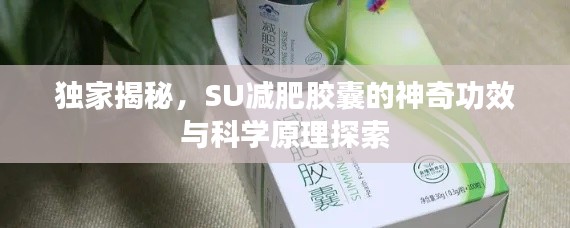 独家揭秘，SU减肥胶囊的神奇功效与科学原理探索