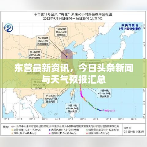 东营最新资讯，今日头条新闻与天气预报汇总