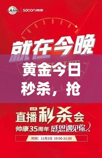 黄金今日秒杀，抢购热潮席卷全场！最新消息速览