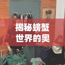 揭秘螃蟹世界的奥秘，引发深度关注的生态话题