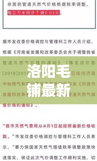 洛阳毛铺最新消息，揭秘当地热点新闻事件