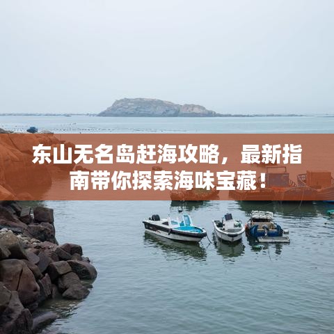 东山无名岛赶海攻略，最新指南带你探索海味宝藏！