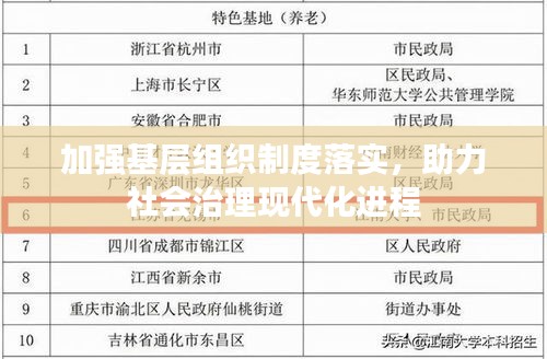 加强基层组织制度落实，助力社会治理现代化进程