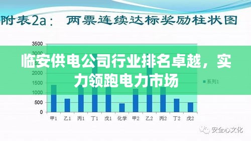 临安供电公司行业排名卓越，实力领跑电力市场