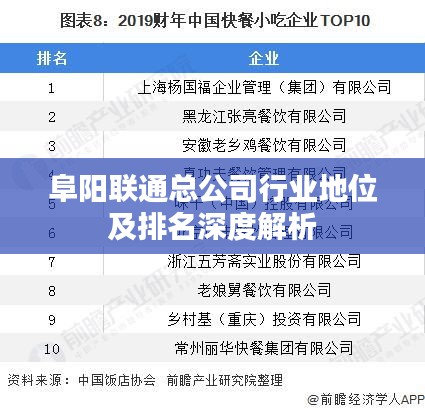 阜阳联通总公司行业地位及排名深度解析