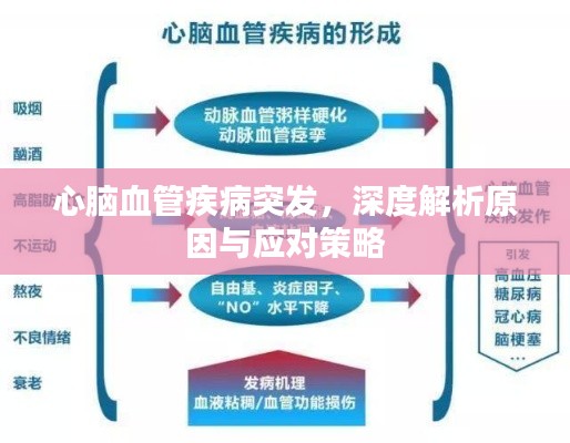 心脑血管疾病突发，深度解析原因与应对策略