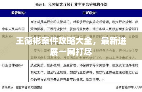 王德彬案件攻略大全，最新进展一网打尽