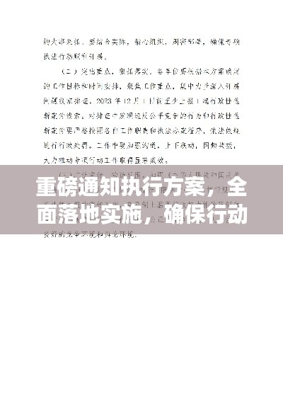 重磅通知执行方案，全面落地实施，确保行动有力