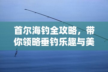 首尔海钓全攻略，带你领略垂钓乐趣与美景