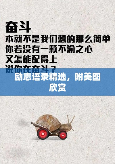 励志语录精选，附美图欣赏