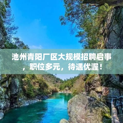 池州青阳厂区大规模招聘启事，职位多元，待遇优渥！