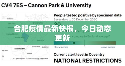 合肥疫情最新快报，今日动态更新