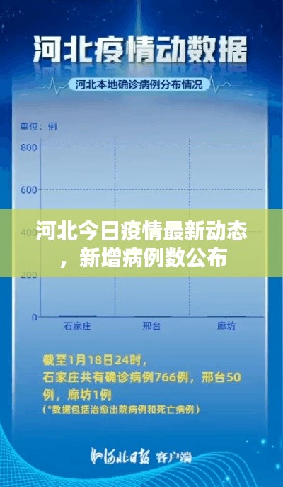 河北今日疫情最新动态，新增病例数公布