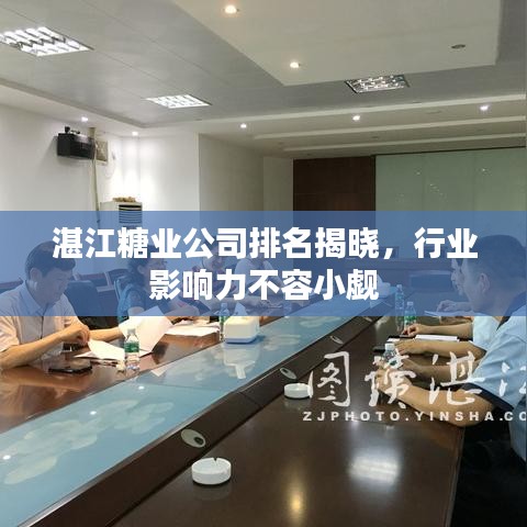 湛江糖业公司排名揭晓，行业影响力不容小觑