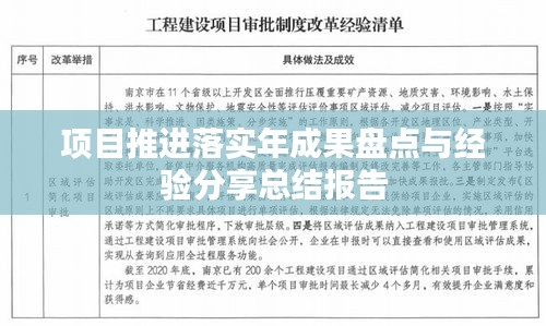 项目推进落实年成果盘点与经验分享总结报告