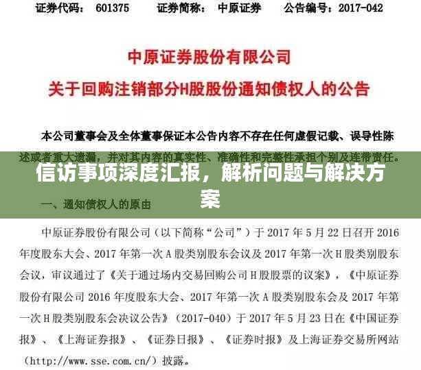 信访事项深度汇报，解析问题与解决方案