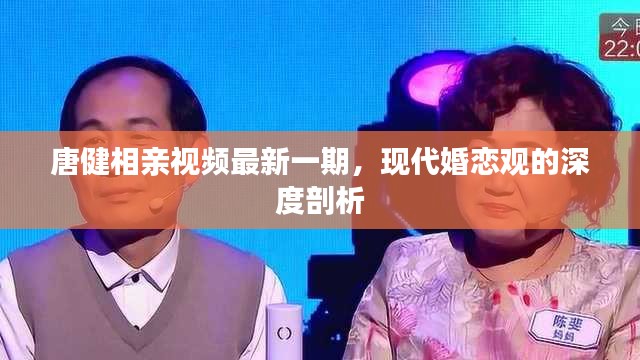 唐健相亲视频最新一期，现代婚恋观的深度剖析