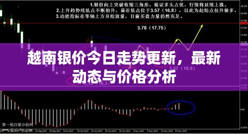 越南银价今日走势更新，最新动态与价格分析